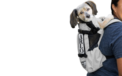 K9 Sport Sack Hunderucksack Air 2, hellgrau