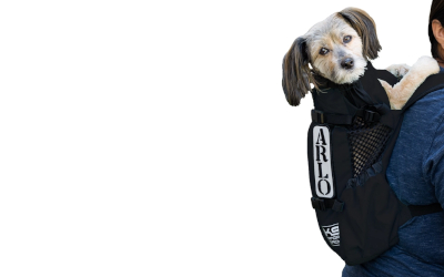 K9 Sport Sack Hunderucksack Air 2, schwarz