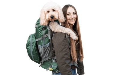 K9 Sport Sack® Kolossus Big Dog Carrier & Backpack green