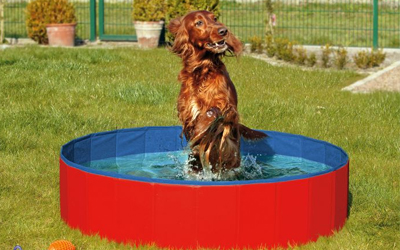 Karlie Doggy Pool, blau/rot