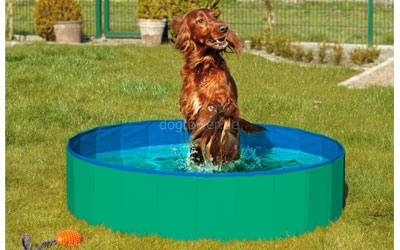 passender Doggy-Pool, grün-blau