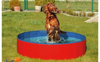 passender Doggy-Pool, rot-blau