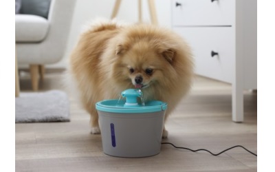 Kerbl Trinkbrunnen für Katzen und kleine Hunde