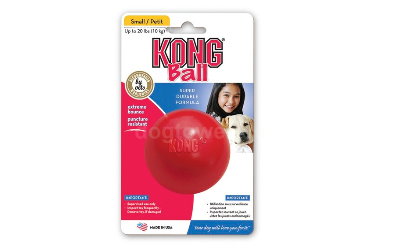 Extrem robuster Hundeball von Kong