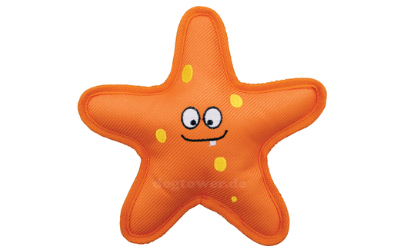 Kong Belly Flops Starfish