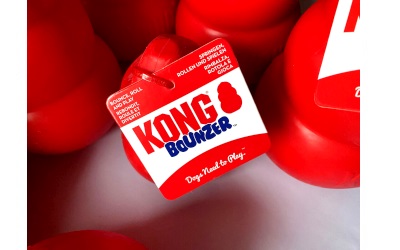 KONG Bounzer