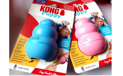 KONG Puppy