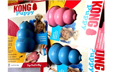 KONG Puppy