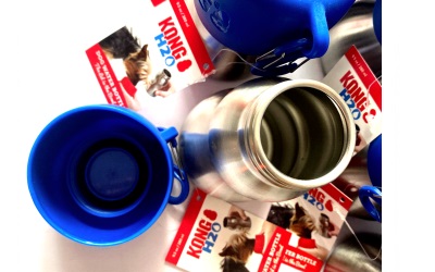 KONG Hundetrinkflasche aus rostfreiem Edelstahl, blau