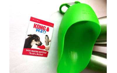 KONG Hundetrinkflasche aus rostfreiem Edelstahl, grün