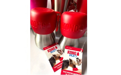 KONG Hundetrinkflasche aus rostfreiem Edelstahl, rot