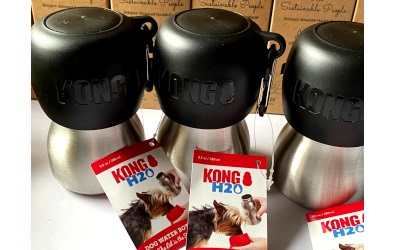 KONG Hundetrinkflasche aus rostfreiem Edelstahl, schwarz