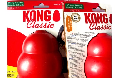 KONG Classic