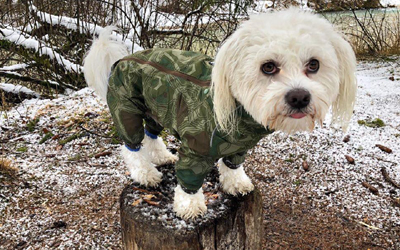 Hurtta Hundeoverall Downpour Suit, camouflage/grün