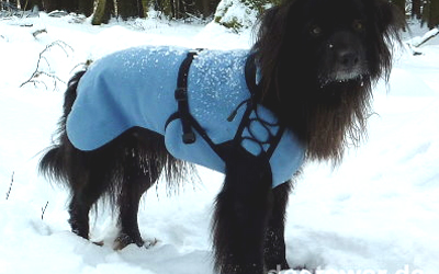 IQO VXf Hundemantel Softshell hellblau