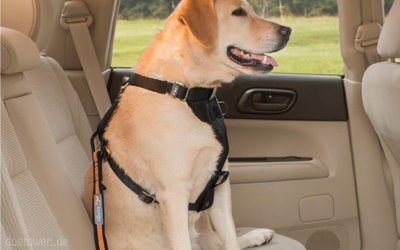 Perfekt Kombinierbar mit dem Kurgo Impact Autosicherheits- Hundegeschirr
