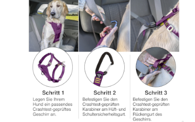 Einfach und schnell im Auto angurten