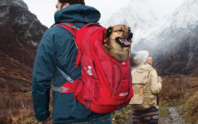 Kurgo G-Train K9 Backpack Hunderucksack (für den Hundetransport)