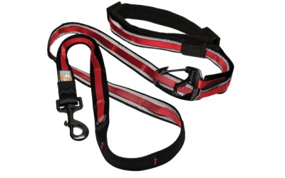 Kurgo Quantum 6-in-1 Dog Leash Barn Red