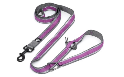 Kurgo Reflect & Protect Quantum Leash Violet