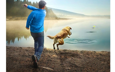 Kurgo Skipping Stones