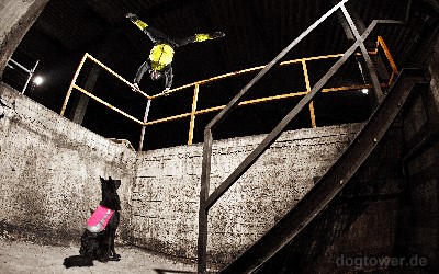 Hurtta Lifeguard Hundeweste