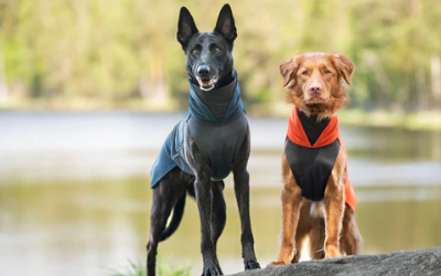 Weich und Elastisch, ein pomppa Allrounder Hundepullover