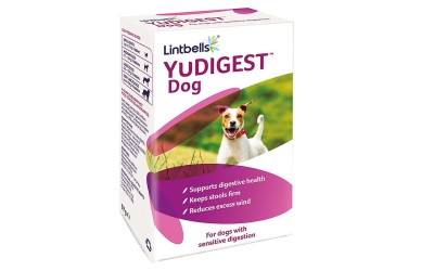 Lintbells YUDIGEST (YUMPRO BioActiv Kautabletten)