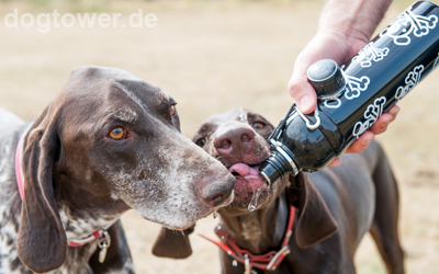 Einfaches Trinken ohne Wasserverlust