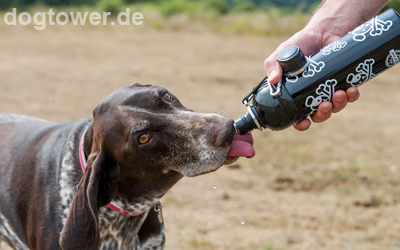 In 250ml, 500ml und 700ml erhältlich