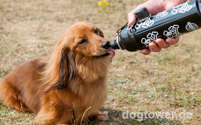 Auch für kleine und mittelgroße Hunde nutzbar