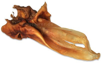 Rinderohr OHNE Ohrmuschel