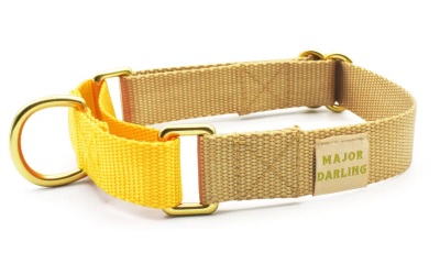 Major Darling Gold with Dandelion Martingale Collar