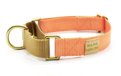 Major Darling Peach with Gold Martingale Collar