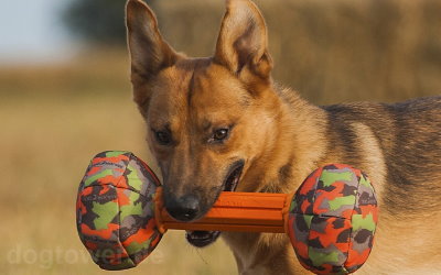 Apportierspielzeug für alle Hunderassen