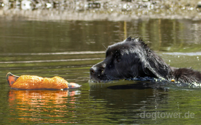 Schwimmfähige Ente von MajorDog