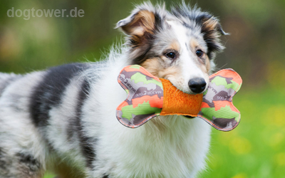 Für Welpen geeignetes Hundespielzeug