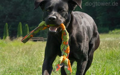54cm x 7cm großes Hundespielzeug zum Werfen und Ziehen