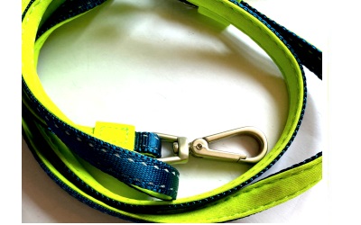 Max & Molly Short Leash Matrix Lime Green