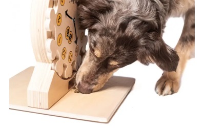 My Intelligent Dogs Pet's O'Clock - interaktives Spiel für Hunde und Katzen