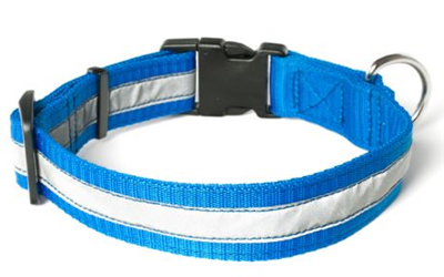 Mystique Nylon Halsband Profi reflex, blau