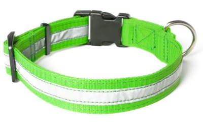 Mystique Nylon Halsband Profi reflex, neongrün