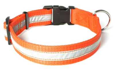 Mystique Nylon Halsband Profi reflex, neonorange