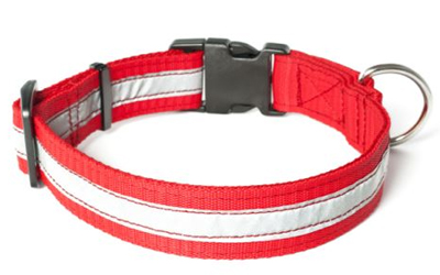 Mystique Nylon Halsband Profi reflex, rot