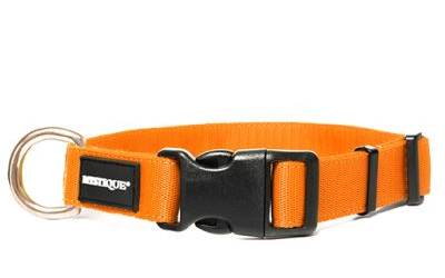 Mystique Nylon Halsband Profi (MESSING), neonorange