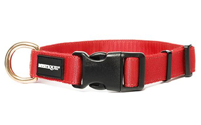 Mystique Nylon Halsband Profi (MESSING), rot