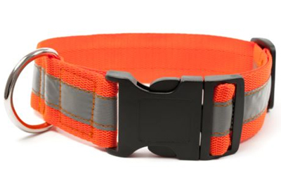 Mystique Signalhalsband mit Klickverschluss, neonorange