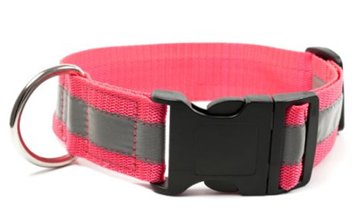 Mystique Signalhalsband mit Klickverschluss, neonpink