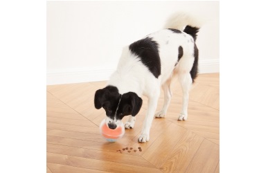 Nina Ottosson Dog Rumble Puzzle