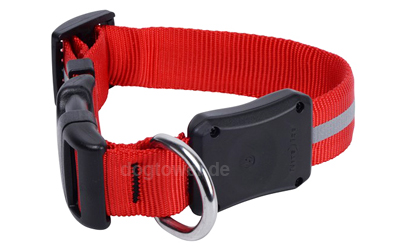 Nite Dawg LED Hundehalsband, rot